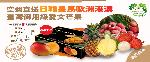 臺灣熱帶水果 海外直送