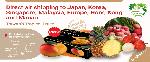 Taiwan’s Tropical Fruits