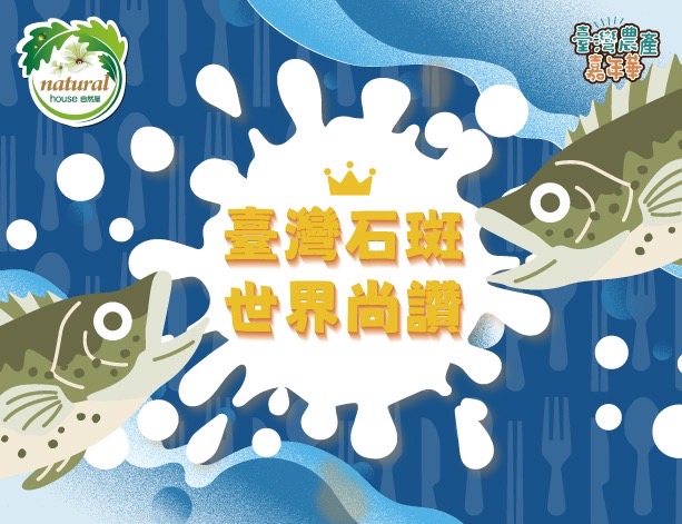 石斑魚專區