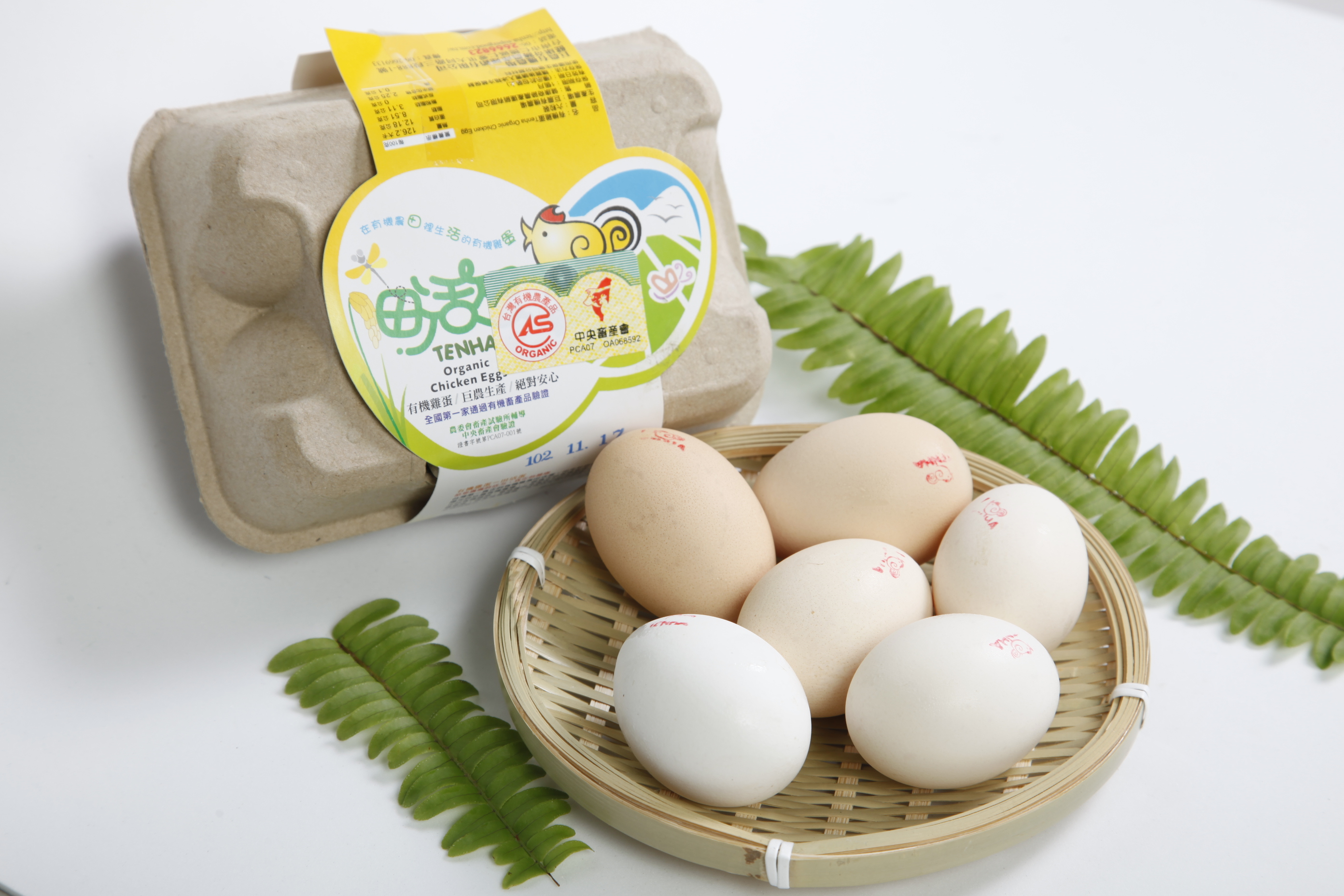 有机农场田活鸡蛋