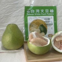 產品編號# 01985