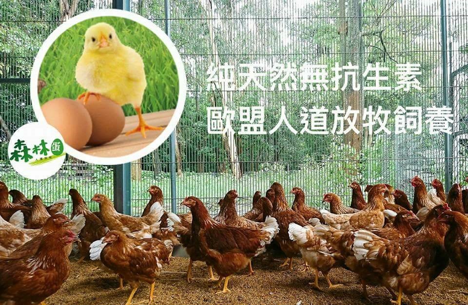 自然屋