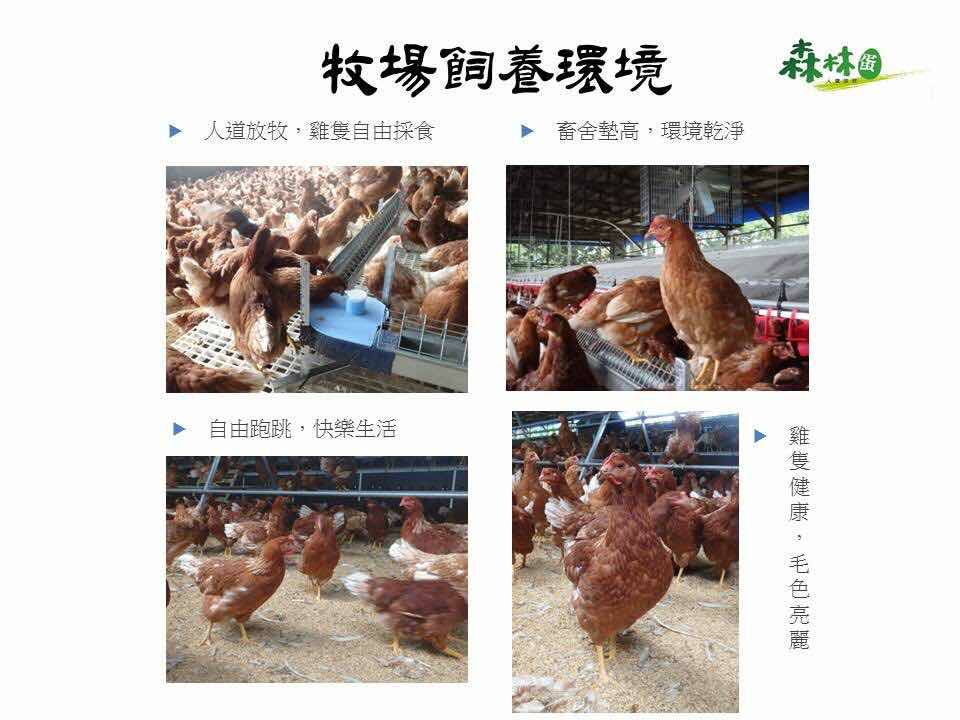 自然屋